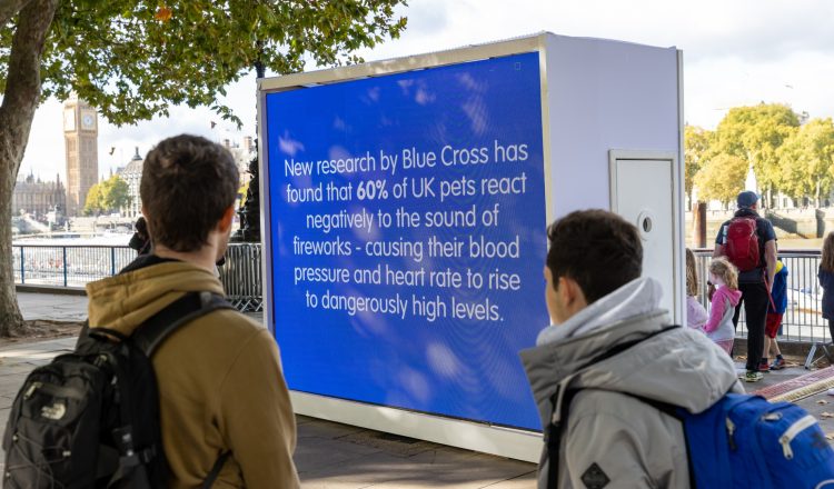 Blue X Firework campaign 2937 750x440 - <strong>COUNCILS AXE FIREWORK DISPLAYS SPARKING CHARITY FEAR FOR PETS</strong>
