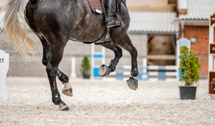 Untitled design 3 750x440 - Security for Horses and Equipment: How to Prevent Theft