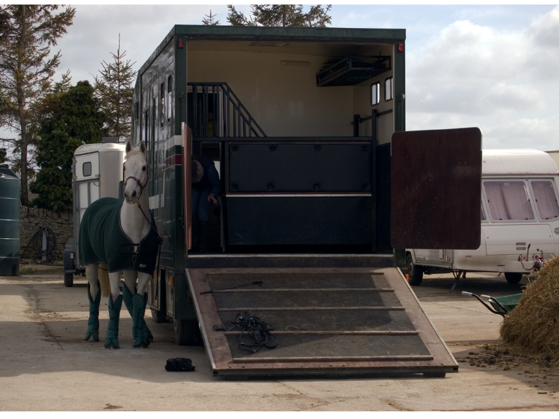 Untitled design 6 - Security for Horses and Equipment: How to Prevent Theft
