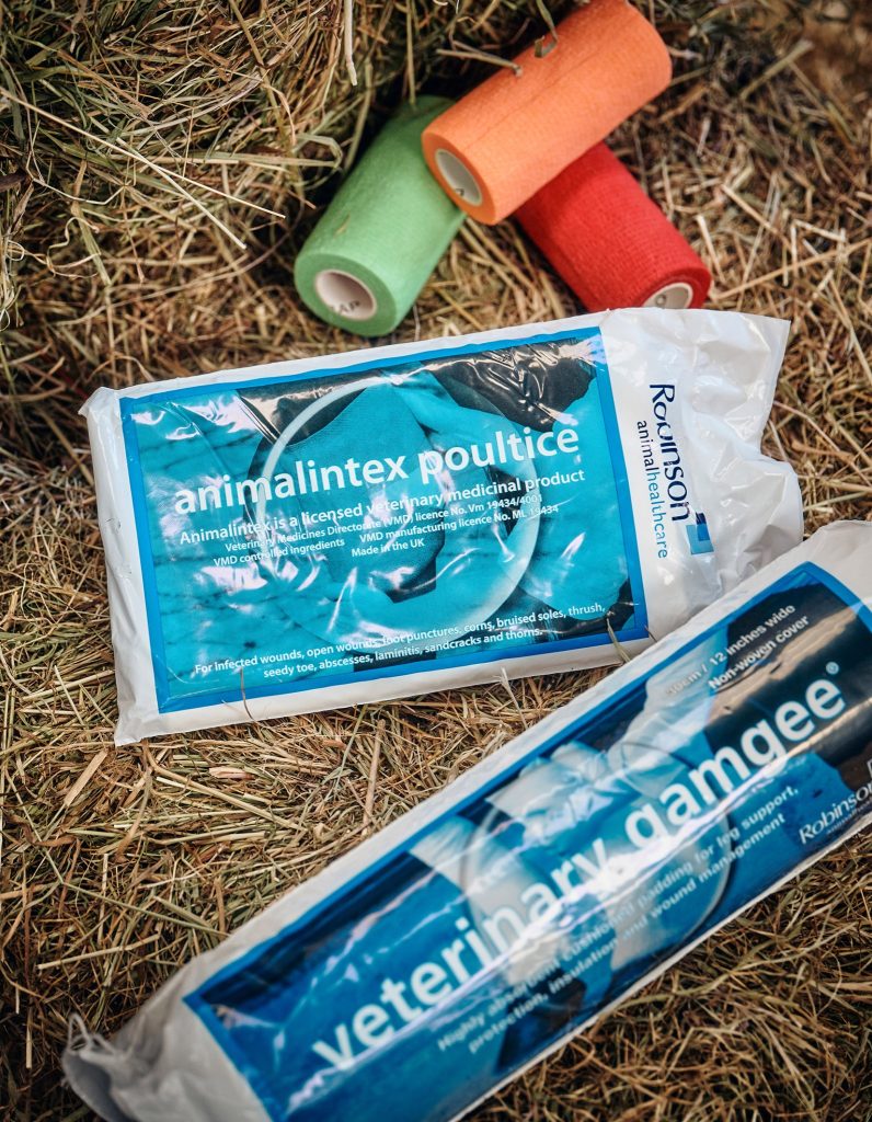 In severe cases of Mud Fever where the skin has become inflamed or infected teh vet could recommend poulticing with Animalintex. 796x1024 - A Muddy Problem